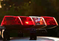 Fox Point Cites Attempted Burglar With Trespassing, Littering